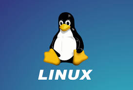 Linux国内开源镜像站-AcmdGroud